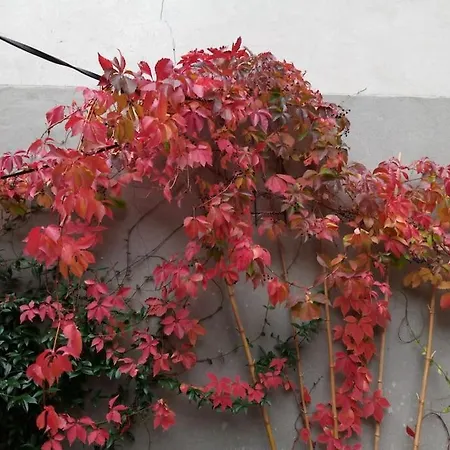 Duplex Dans Village Avec Jardin Holiday home *